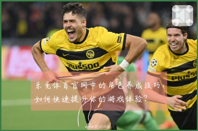 乐竞体育官网中的角色养成技巧，如何快速提升你的游戏体验？